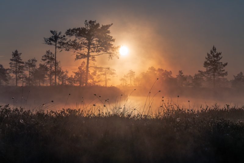 Hommikune võlumaa