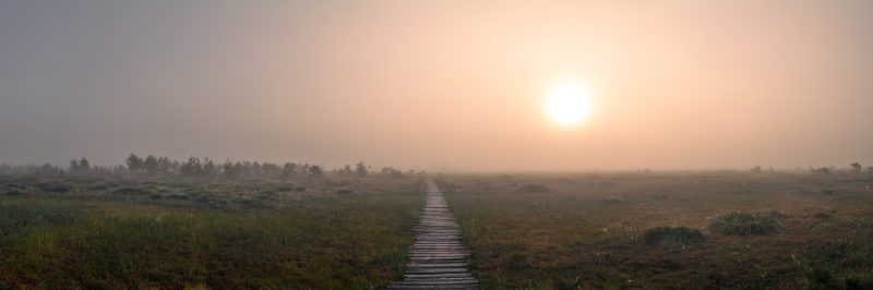 Päikesetõusu teekond- Keava raba
