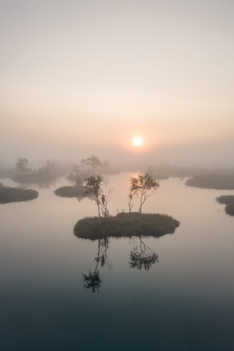 Sõbrad saarel - Keava raba